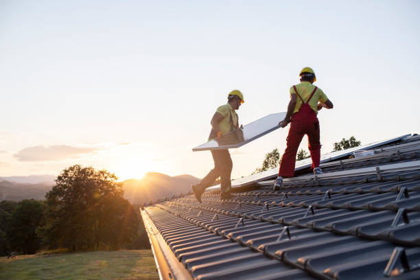 Best Skylight Installation and Repair  in Belhaven, NC