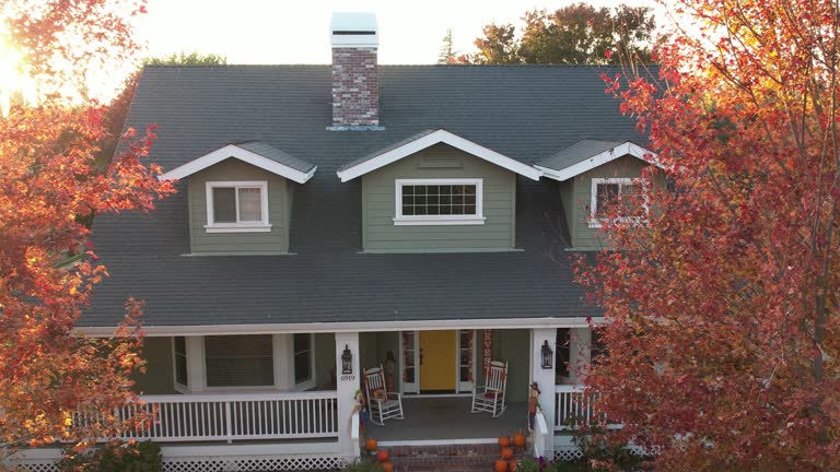 Best Roof Maintenance and Cleaning  in Belhaven, NC